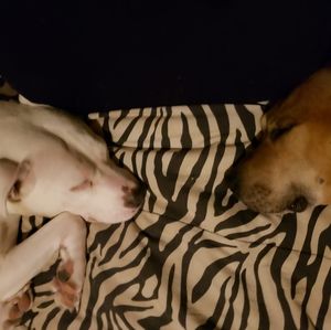 Meet your Posher, Robyn